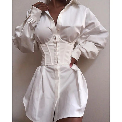 Deep V Neck Ruffled Waist Shirt Dress for Women